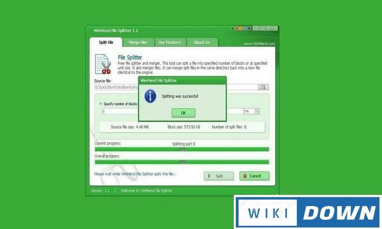 Download WinMend File Splitter Link GG Drive Full Crack