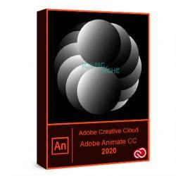 Download Adobe Animate CC 2020 – Video hướng dẫn cài đặt chi tiết Mới Nhất