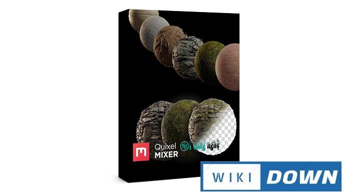 Download Quixel Mixer 2020 – Phần mềm pha trộn tạo các vật liệu đặc thù Mới Nhất