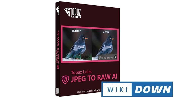 Download Topaz JPEG to RAW AI – Video hướng dẫn cài đặt chi tiết Mới Nhất