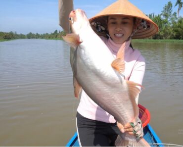 76 / Thôn nữ giăng câu trúng bầy cá tra sông Cái Bé | Fishing