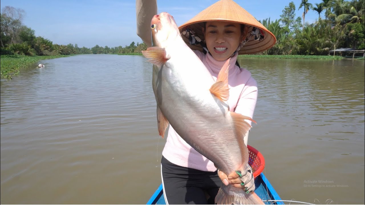 76 / Thôn nữ giăng câu trúng bầy cá tra sông Cái Bé | Fishing