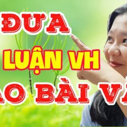 CÁCH ĐƯA LÝ LUẬN VĂN HỌC VÀO BÀI VĂN