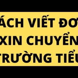 CÁCH VIẾT ĐƠN XIN CHUYỂN TRƯỜNG TIỂU HỌC