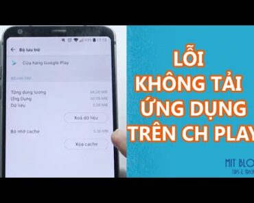 Cách khắc phục lỗi không tải được ứng dụng trên CH Play nhanh chóng