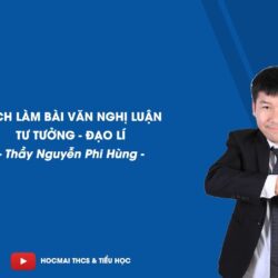 Cách làm bài văn nghị luận về tư tưởng đạo lí – Ngữ văn 9 – Thầy Nguyễn Phi Hùng – HOCMAI