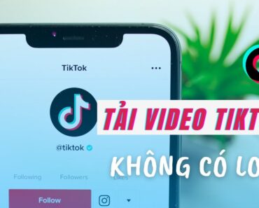 Cách tải video TikTok không có logo cực đơn giản