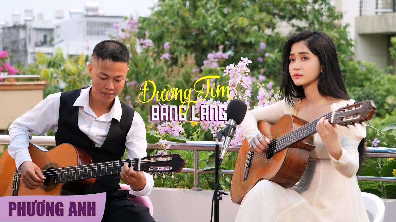 Đường Tím Bằng Lăng – Phương Anh (Guitar Cover)