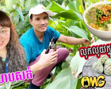 FULL WORK WEEK, NATURETINT HAIR COLOR, ATEMOYA CRACK, VIETNAMESE STYLE SOUR SOUP ធ្វើការពេញ១អាទឹត្យ