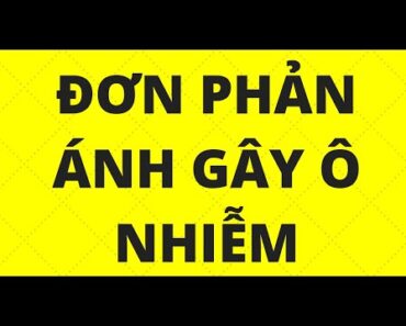 HƯỚNG DẪN VIẾT ĐƠN PHẢN ÁNH Ô NHIỄM