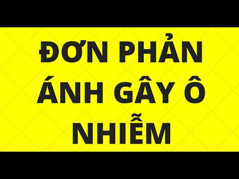 HƯỚNG DẪN VIẾT ĐƠN PHẢN ÁNH Ô NHIỄM