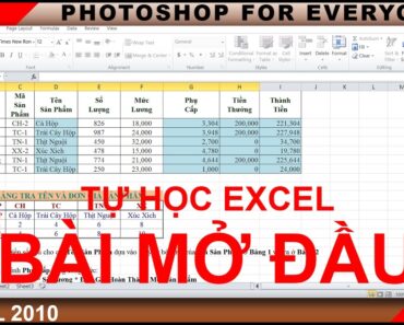 Học excel cơ bản | Những khái niệm quan trọng bắt đầu tự học.