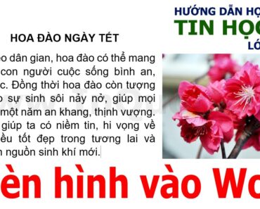 Hướng dẫn chèn hình ảnh vào văn bản trong Word 2019 🌺 Tin Học Lớp 4 🌺 Bài 3 🌺 Chủ đề 3