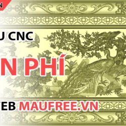 Hướng dẫn tìm và tải MẪU CNC MIỄN PHÍ | Dành cho người mới dùng máy CNC | CNC Đông Phương