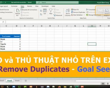 Mẹo và Thủ thuật Excel | Remove Duplicates | Goal Seek