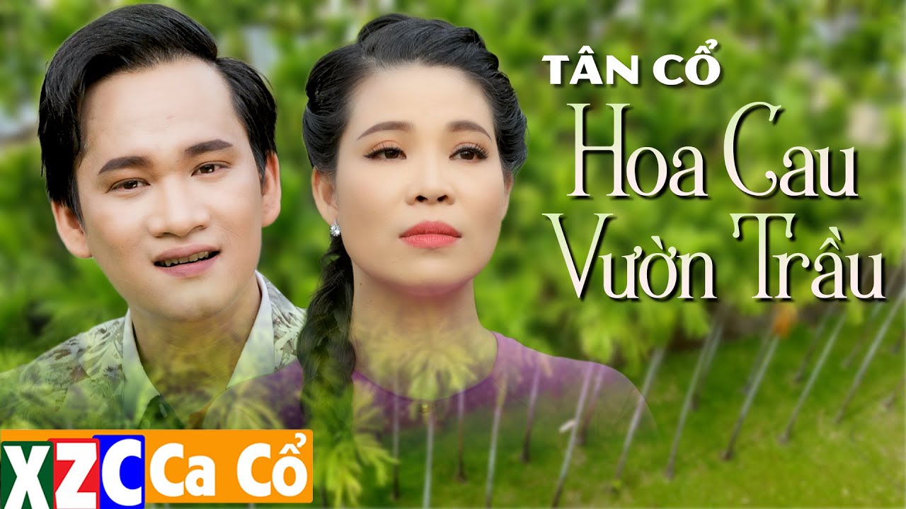 Tân Cổ Hiện Đại HOA CAU VƯỜN TRẦU – CVVC kim Luận ft CVVC Nguyễn Thanh Toàn |  Hay Nhất 2022