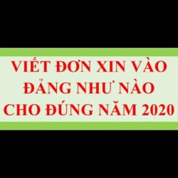 VIẾT ĐƠN XIN VÀO ĐẢNG NHƯ THẾ NÀO CHO ĐÚNG