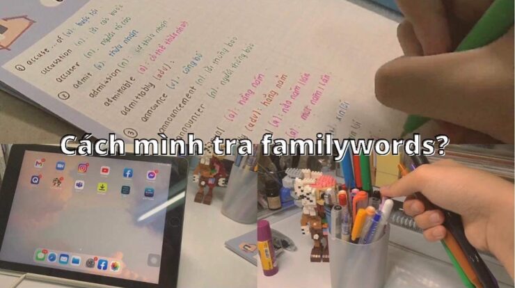 Web và app mình dùng để tra family words 👨‍👩‍👦‍👦/ cách mình take note từ vựng tiếng anh/hunkystudies