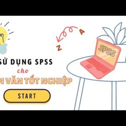 tips  Hướng dẫn làm luận văn tốt nghiệp dùng SPSS – Daily Life