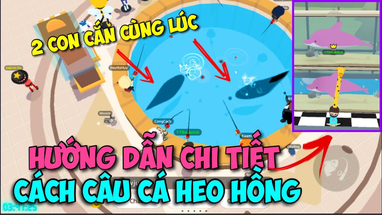 Play Together | Hướng Dẫn Chi Tiết Cách Câu Cá Heo Hồng Trong Play Together | Lão Gió