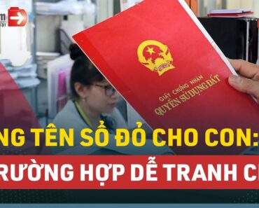 3 Trường Hợp Sang Tên Sổ Đỏ Cho Con Dễ Xảy Ra Tranh Chấp | LuatVietnam