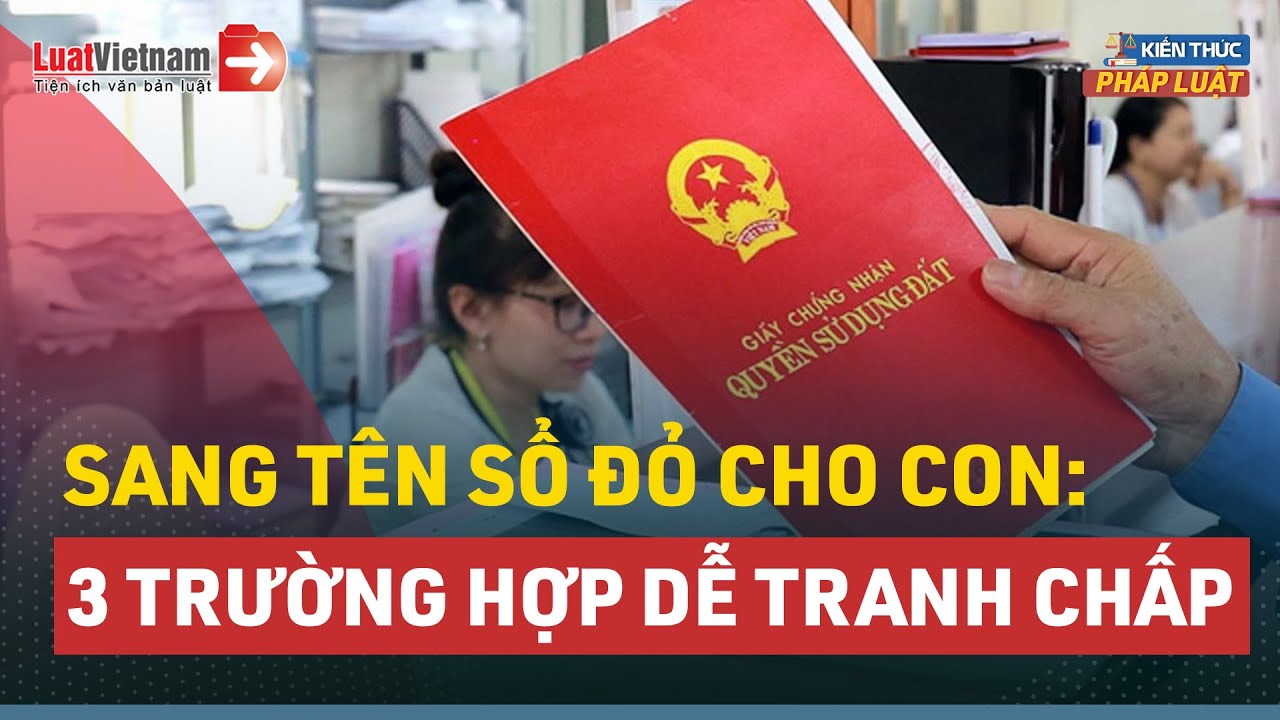 3 Trường Hợp Sang Tên Sổ Đỏ Cho Con Dễ Xảy Ra Tranh Chấp | LuatVietnam