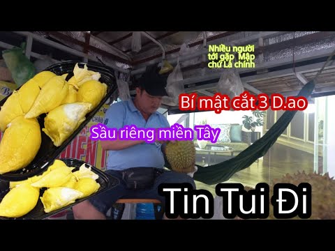 CHỦ VỰA SẦU RIÊNG Miền Tây TRÊN XE TẢI tiết lộ có nhiều khách hàng từ Sài Gòn nên ra quyết định này