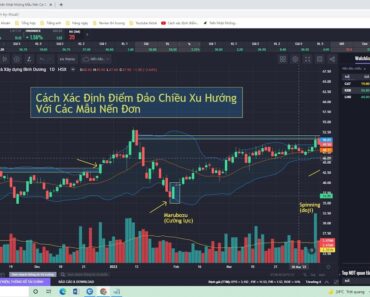 Cách Xác Định Điểm Đảo Chiều Xu Hướng Với Các Mẫu Nến Đơn – Học Đầu Tư Chứng Khoán
