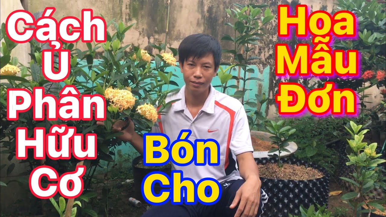 Cách ủ phân hữu cơ bón cho hoa mẫu đơn@Bông Trang AG