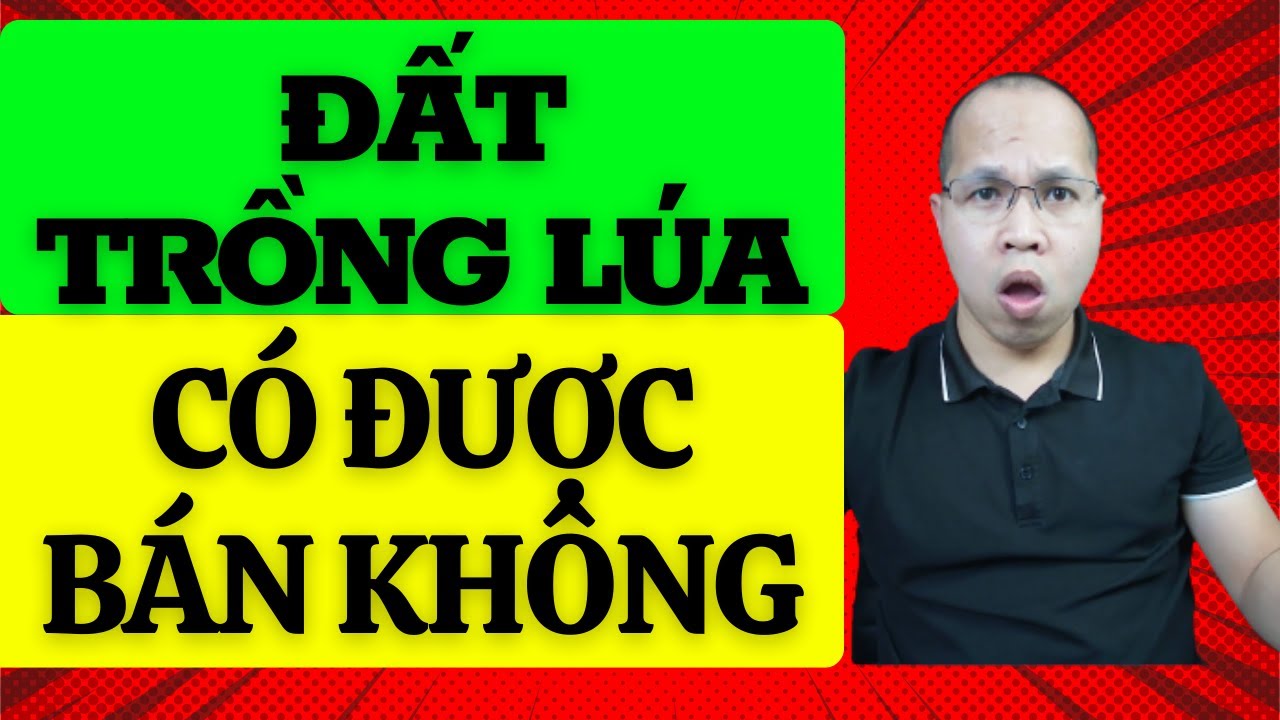 Đất trồng lúa có được chuyển nhượng không. Mua bán đất nông nghiệp