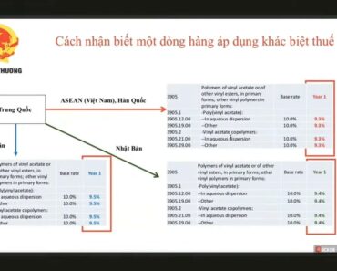 Điểm mới về C/O mẫu RCEP – Cách xác định nước xuất xứ khi áp dụng khác biệt thuế.