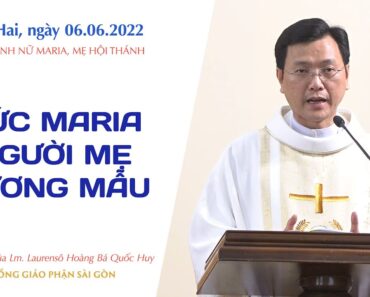 Đức Maria – người mẹ gương mẫu – Lm. Laurensô Hoàng Bá Quốc Huy