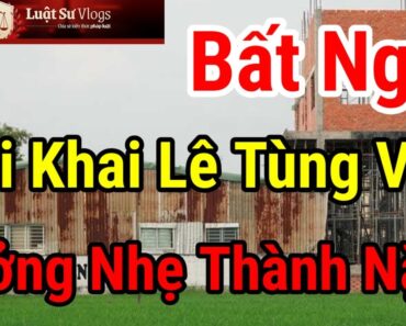 Kết Luận Điều Tra Vụ Án Thiền Am Tịnh Thất Bồng Lai Lê Tùng Vân Khai Gì Trước Truy Tố? Luật Sư Vlogs