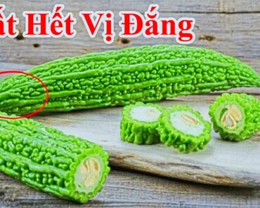 Khó Tin ! Chỉ Cần Đụng Vào Chỗ Này Trái Khổ Hoa Sẽ Hết Đắng / Mẹo Làm Mất Vị Đắng Của Mướp Đắng