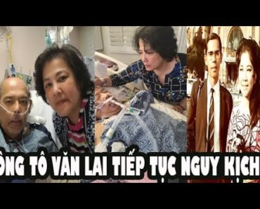 🔴 Thân Phụ Của Bà Tô Ngọc Thủy, Ông Tô Văn Lai Tiếp Tục Nhập Viện