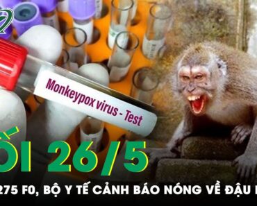 Tối 26/5: Thêm 1.275 Ca Covid-19, Bộ Y Tế Cảnh Báo Người Nghi Mắc Đậu Mùa Khỉ Cần Tự Cách Ly | SKĐS